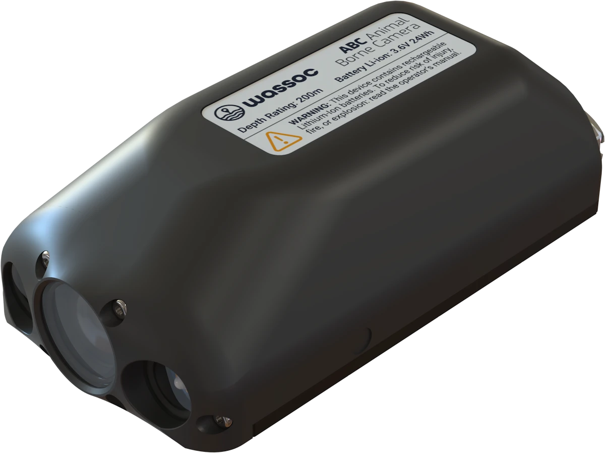 Wassoc's compact animal-borne camera in a black Delrin housing with sapphire viewport, near IR lights, and depth rating label